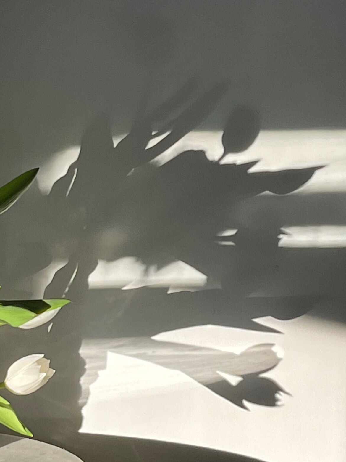 Tirage d'art « Ombres » — Aurélia Grandel de Keating